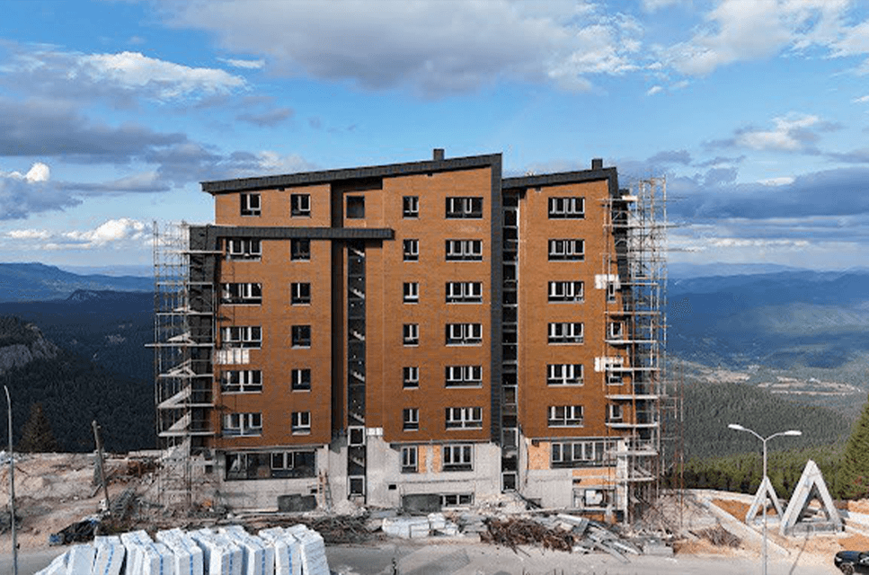 Terra Group Project 5