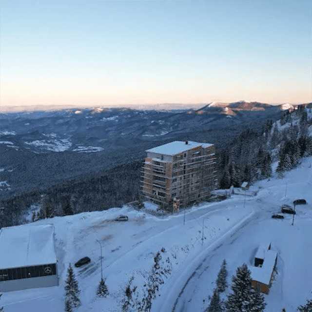 Terra Group Project 6